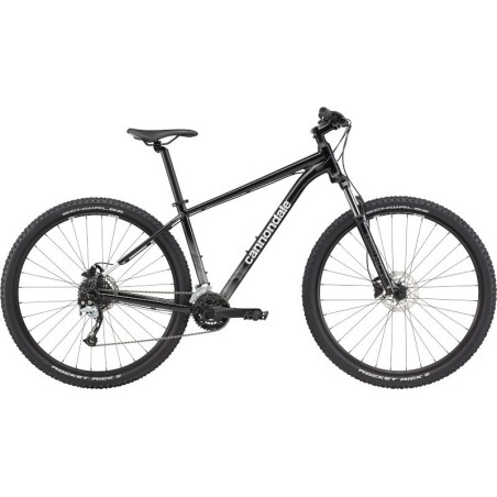 CANNONDALE Trail 7 Black 2024