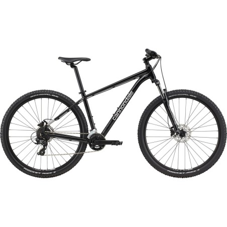 CANNONDALE Trail 8 Grey 2024